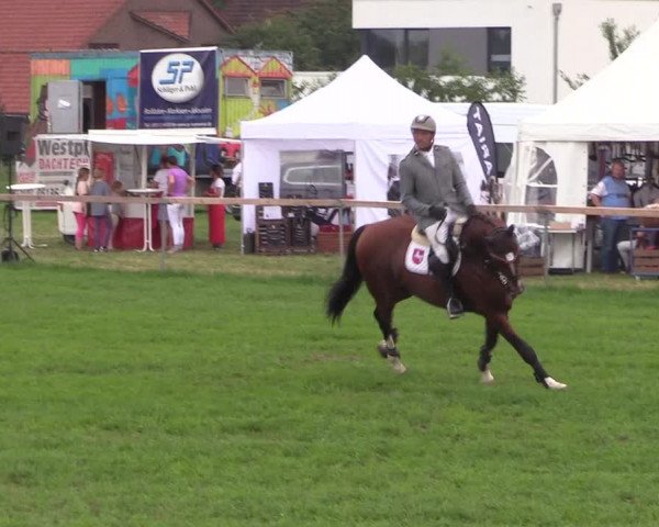 Reitturnier Schillerslage 2018