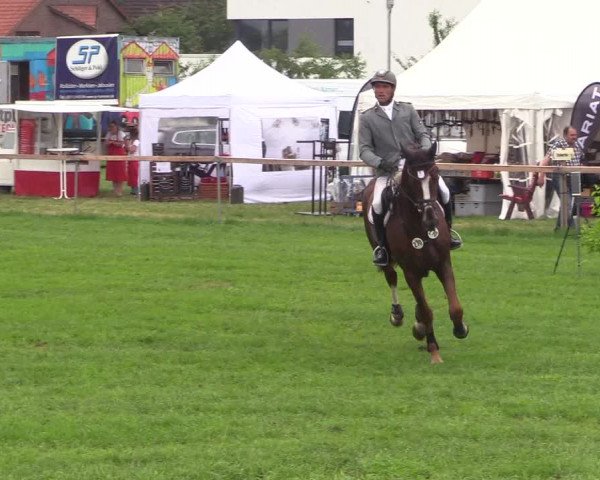 Reitturnier Schillerslage 2018
