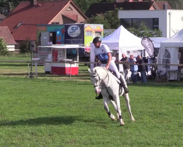 Reitturnier Schillerslage 2018