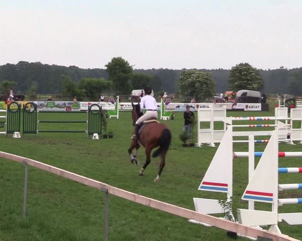 Reitturnier Schillerslage 2018