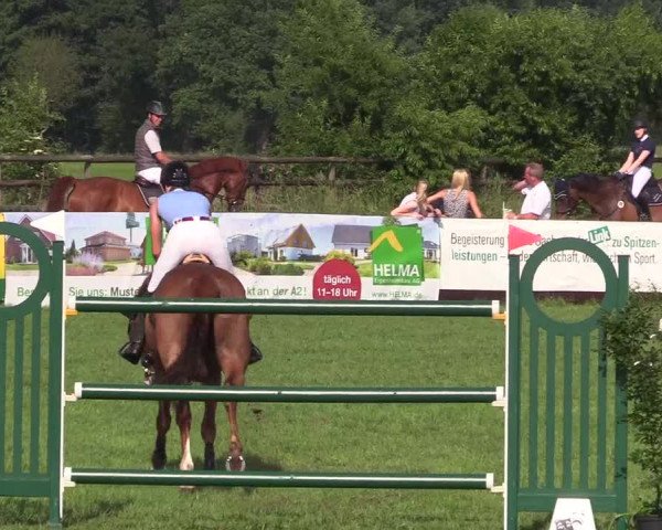 Reitturnier Schillerslage 2018