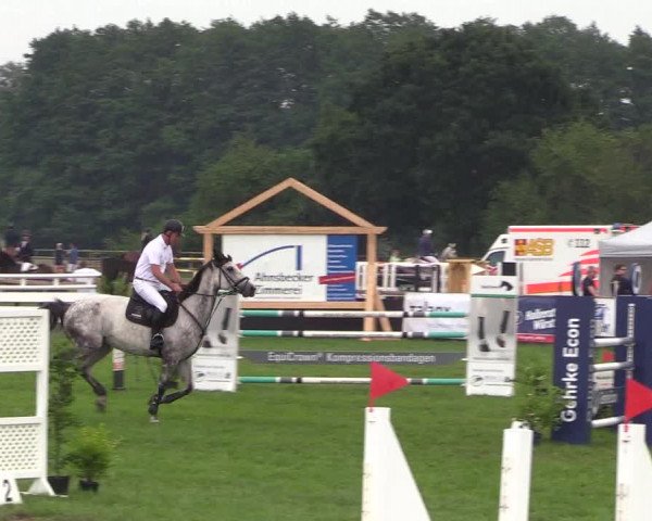 Reitturnier Schillerslage 2018
