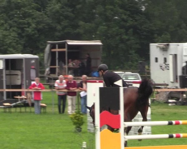 Reitturnier Schillerslage 2018