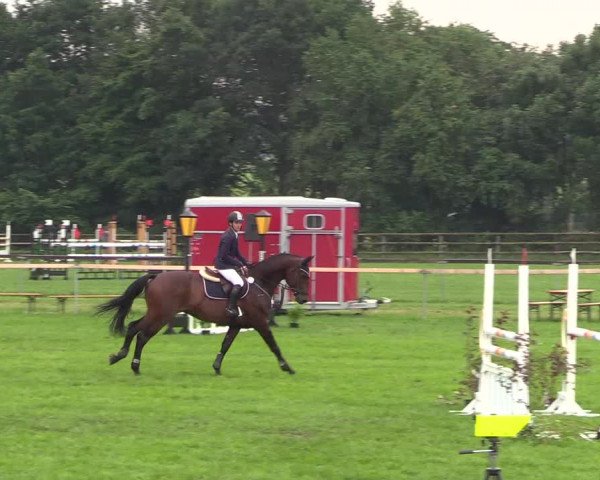 Reitturnier Schillerslage 2018