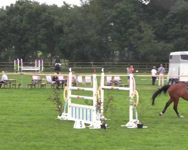 Reitturnier Schillerslage 2018