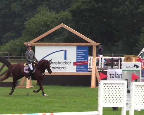 Reitturnier Schillerslage 2018