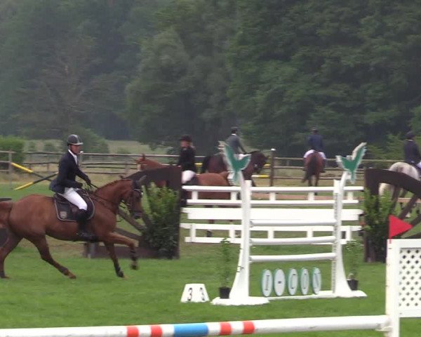 Reitturnier Schillerslage 2018