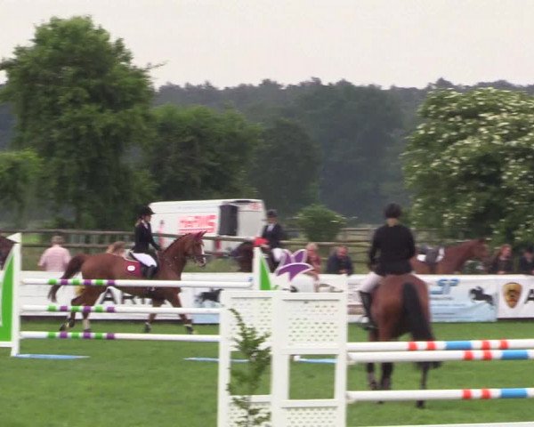 Reitturnier Schillerslage 2018