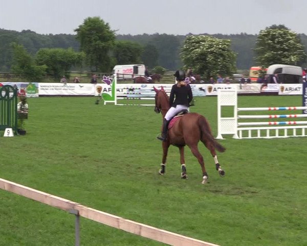 Reitturnier Schillerslage 2018