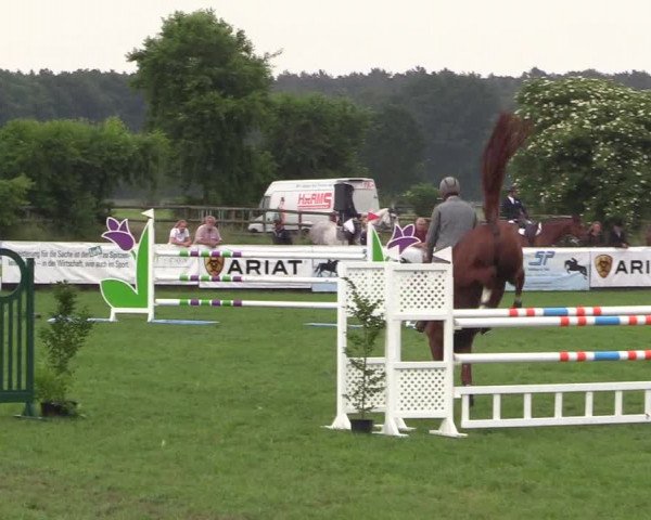Reitturnier Schillerslage 2018