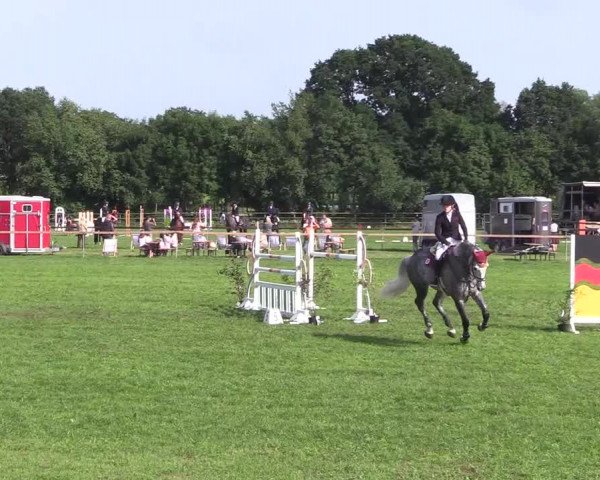 Reitturnier Schillerslage 2018