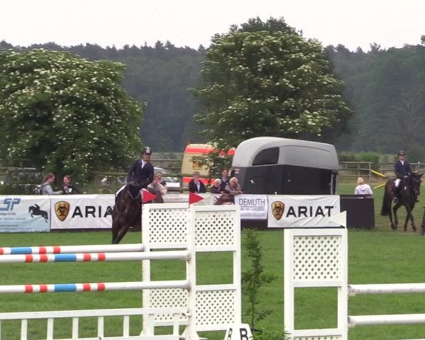 Reitturnier Schillerslage 2018