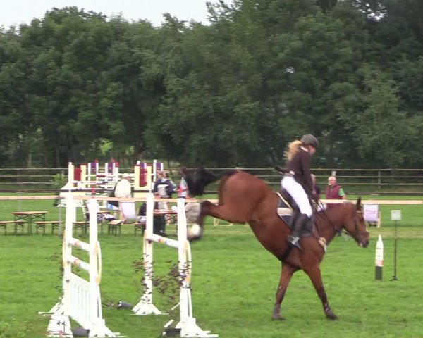 Reitturnier Schillerslage 2018