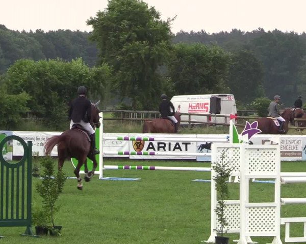 Reitturnier Schillerslage 2018