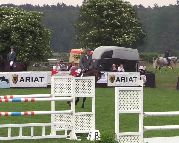 Reitturnier Schillerslage 2018