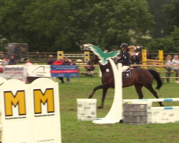 Reitturnier Schillerslage 2018