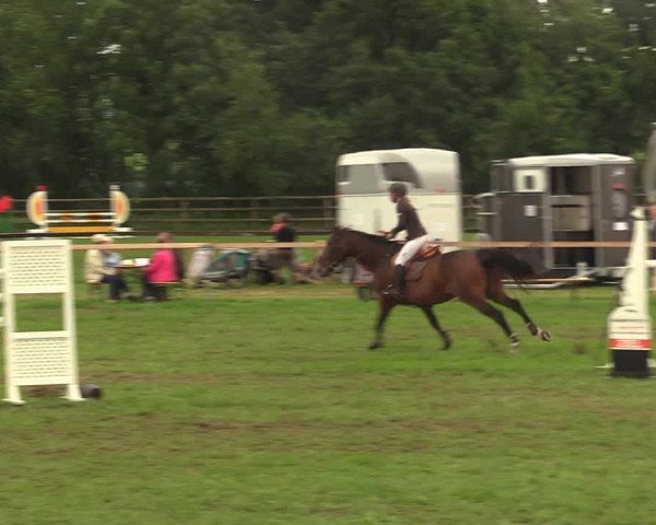 Reitturnier Schillerslage 2018
