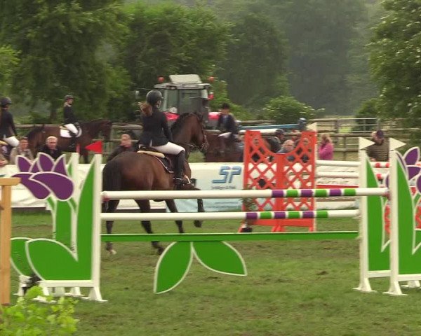 Reitturnier Schillerslage 2018