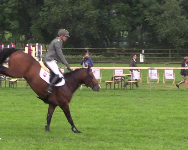 Reitturnier Schillerslage 2018