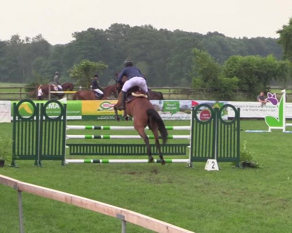 Equestrian Show Schillerslage 2018
