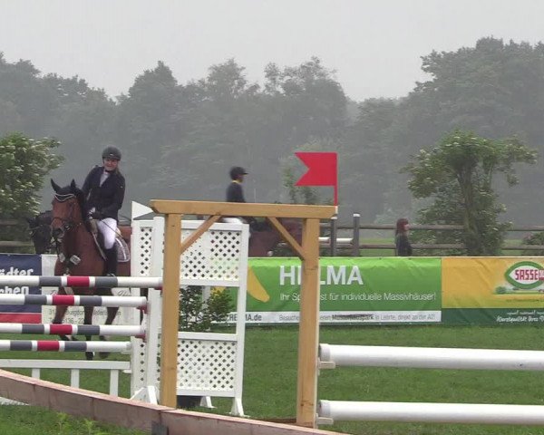 Reitturnier Schillerslage 2018
