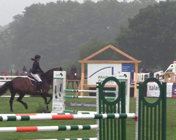 Reitturnier Schillerslage 2018