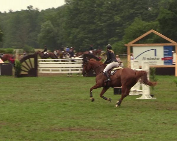 Reitturnier Schillerslage 2018