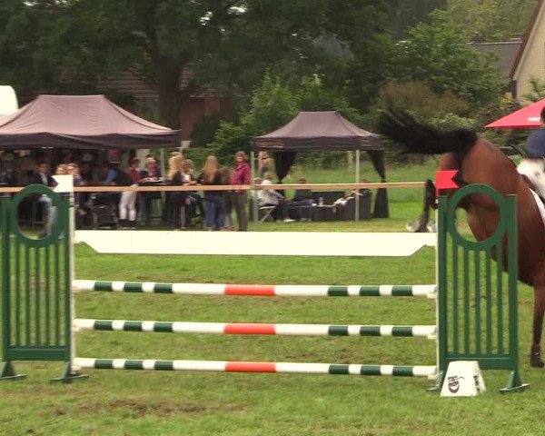Reitturnier Schillerslage 2018
