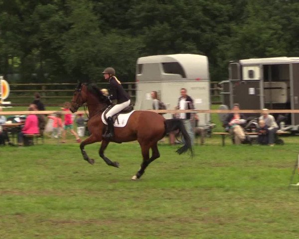 Reitturnier Schillerslage 2018