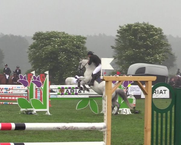 Reitturnier Schillerslage 2018