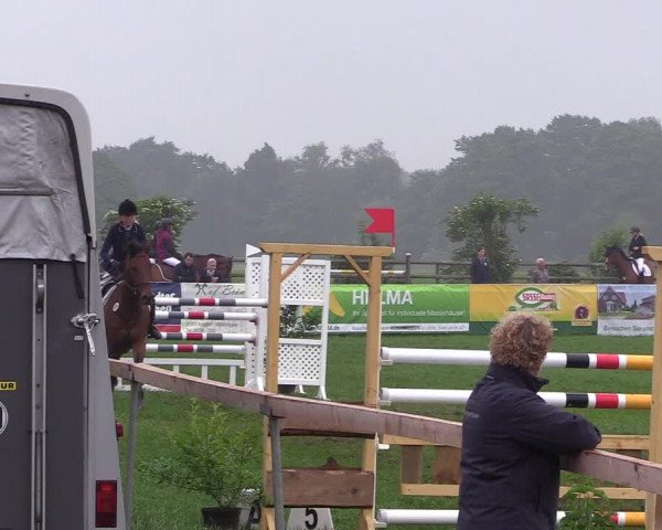 Reitturnier Schillerslage 2018