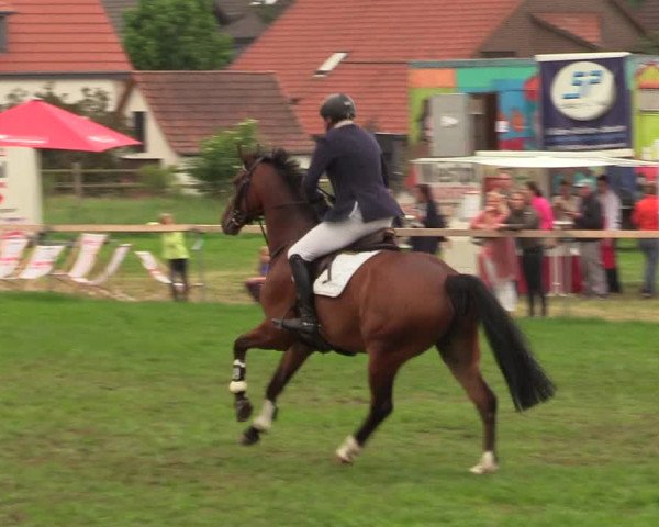 Reitturnier Schillerslage 2018