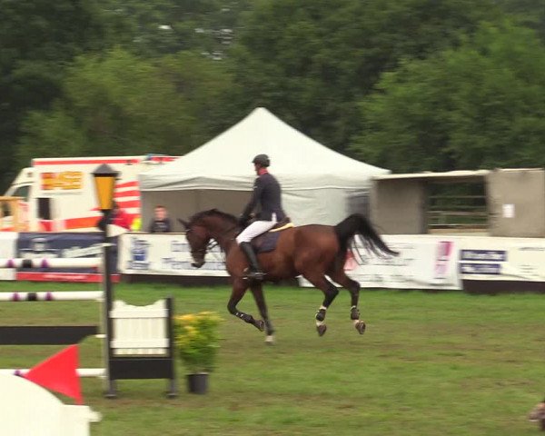 Reitturnier Schillerslage 2018
