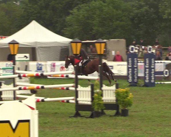 Reitturnier Schillerslage 2018