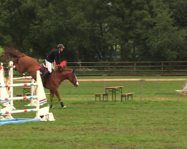 Reitturnier Schillerslage 2018