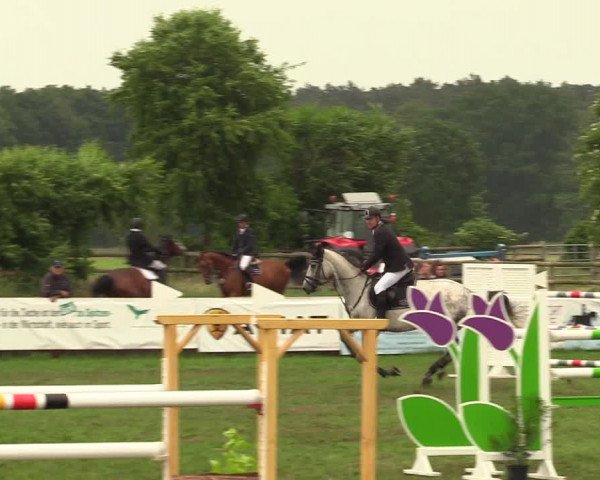 Reitturnier Schillerslage 2018