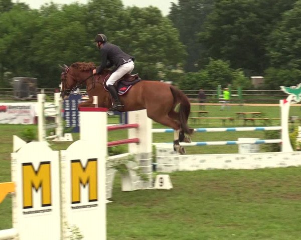 Reitturnier Schillerslage 2018