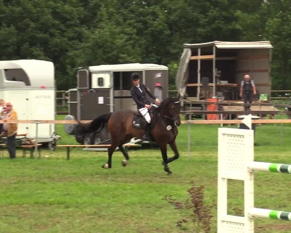 Reitturnier Schillerslage 2018