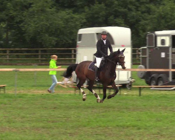 Reitturnier Schillerslage 2018