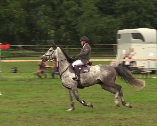 Reitturnier Schillerslage 2018