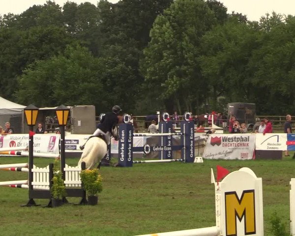 Reitturnier Schillerslage 2018