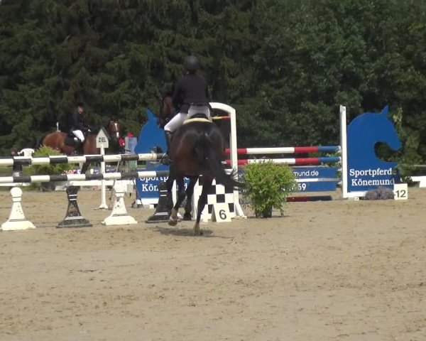 Reitturnier Burscheid-Paffenlöh 2018
