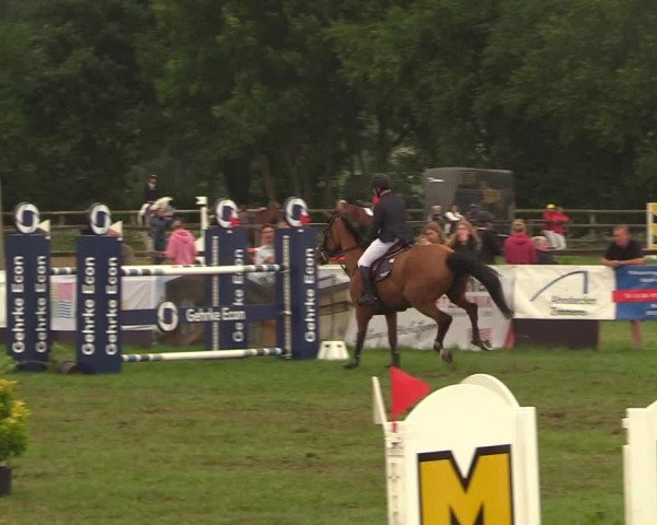 Reitturnier Schillerslage 2018