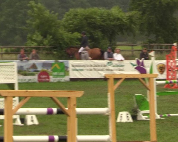 Reitturnier Schillerslage 2018