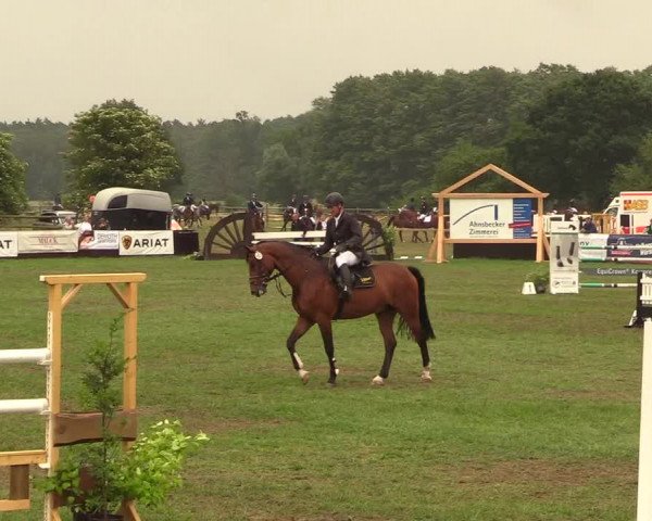 Reitturnier Schillerslage 2018