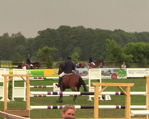 Reitturnier Schillerslage 2018