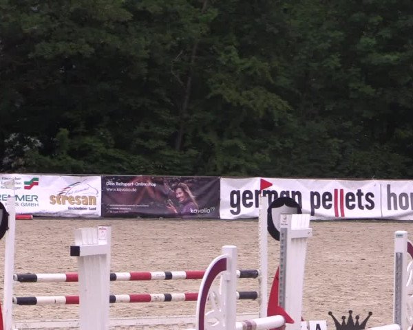 Reitturnier Haiger-Rodenbach 2018