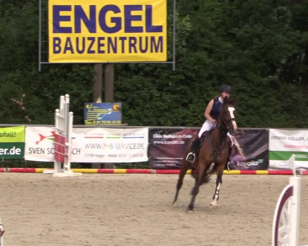 Reitturnier Haiger-Rodenbach 2018