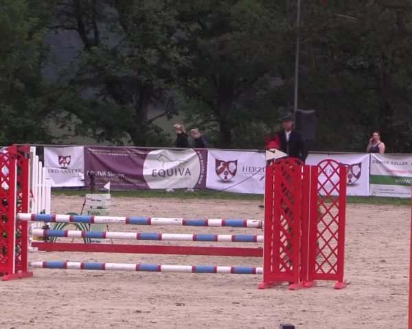 Reitturnier Haiger-Rodenbach 2018