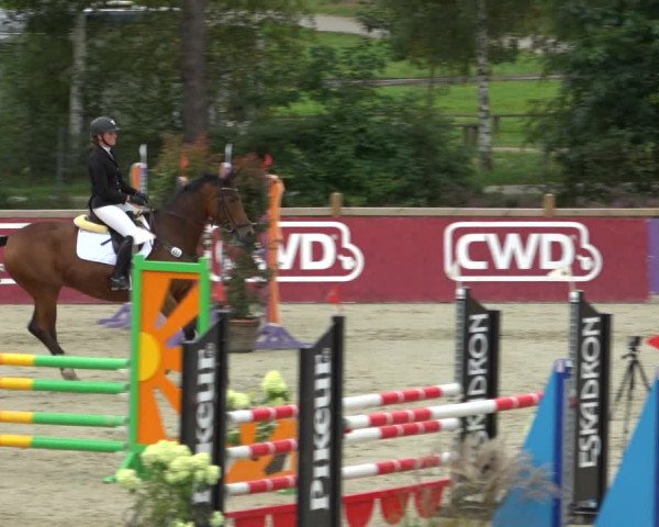 Reitturnier Westergellersen 2021